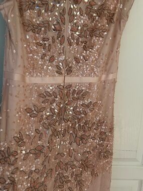 Adrianna Papell Blush Sequin & Bead Embellished Evening Bodice 12